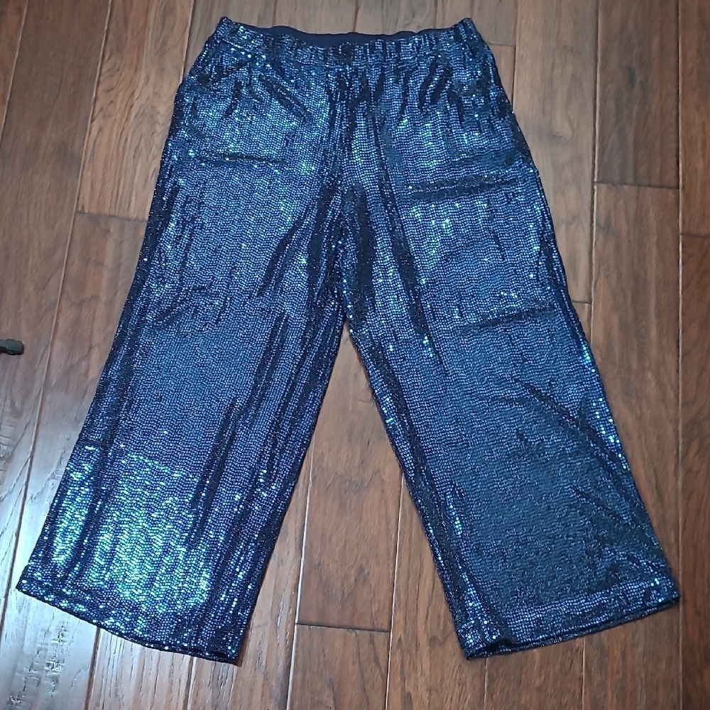 Jules & Leopold Blue Shimmer Wide Leg Pullon Pants size Large